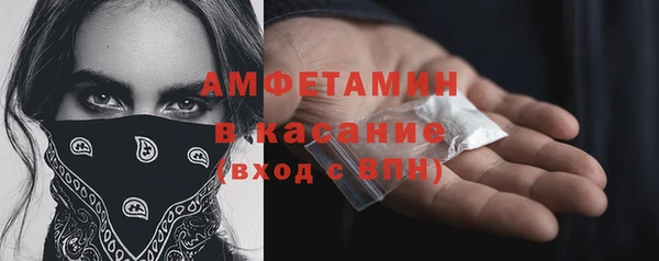 метадон Алексин