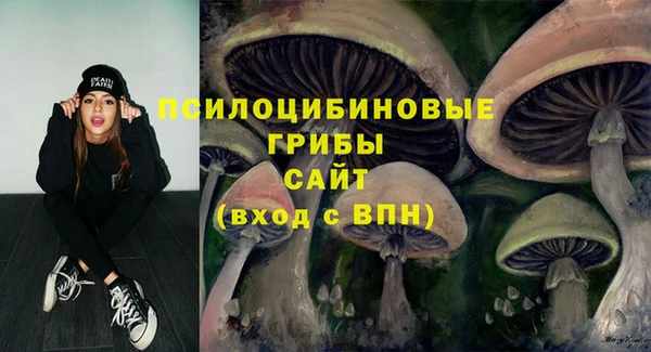 соль ск Алзамай