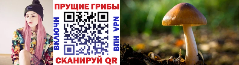 Галлюциногенные грибы MAGIC MUSHROOMS  мега вход  Далматово 