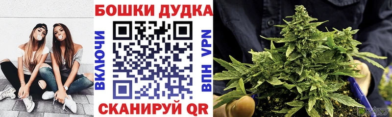 купить Далматово Канабис семена